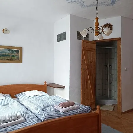 Ubytovani Pod Jilmem Zar Room photo